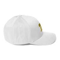 Jalen 19 Flexfit Hat